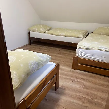 Apartament Tvm 1