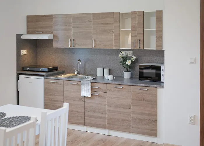Apartment Tvm 1 *